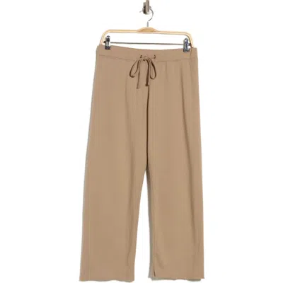 James Perse French Terry Raw Edge Sweatpants In Brown
