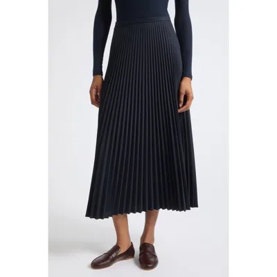 Jamie Haller The Accordion Pleated Maxi Skirt In Blue