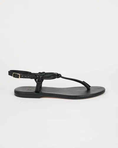 Jamie Haller The String Theory Leather Thong Sandals In Black