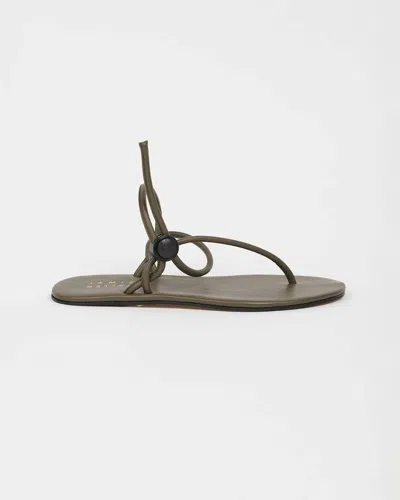 Jamie Haller Women's String Theory Sandal In Olive In Green
