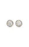 Jamie Wolf 18k Yellow Gold Diamond Stud Earrings In White