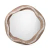 Jamie Young River Organic Mirror In Beige