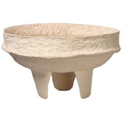 Jamie Young Company Jamie Young Field Cotton Mache Low Bowl, Cream