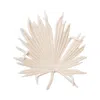 Jamie Young Medium Island Leaf Object In White