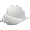 Jamie Young Triton Shell In White