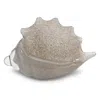 Jamie Young Triton Shell In Neutral