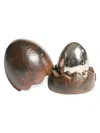 Jan Barboglio Sorpresa Cast Iron Decorative Object In Brown