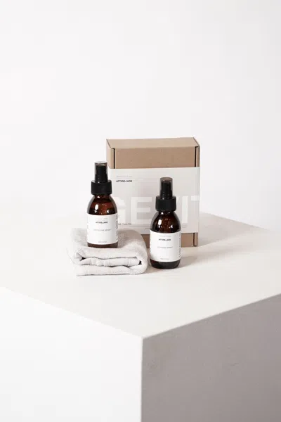Janessa Leone Hat Care Kit In O/s