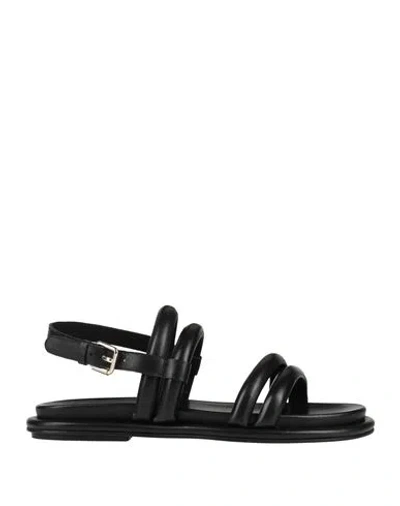 Janet & Janet Woman Sandals Black Size 8 Leather