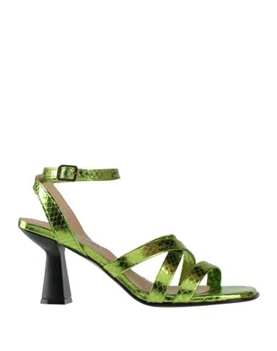 Janet & Janet Woman Sandals Green Size 6 Leather