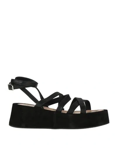 Janet & Janet Woman Sandals Black Size 6 Leather