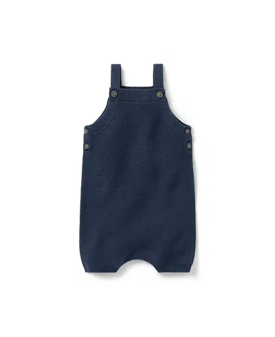 Janie And Jack Girls' Knit Overall - Baby In Blue