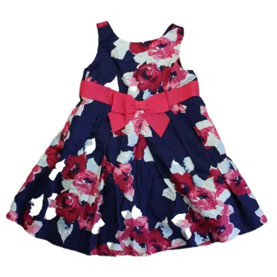 Pre-owned Janie And Jack Kids' Girls Navy Pink Floral Dress