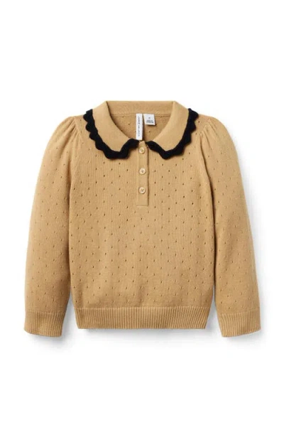 Janie And Jack Babies'  Pointelle Crochet Collar Sweater In Brown