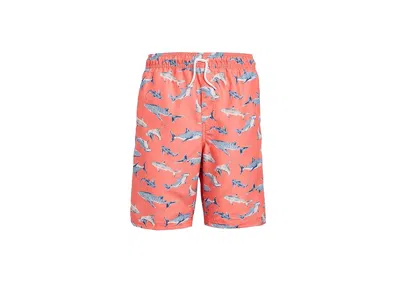 Janie And Jack Printed Long Swim Trunk (toddler/little Kid/big Kid) Boy's Swimwear Shark : 2t Toddler, Polyester In Pink
