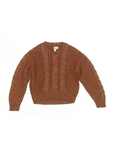 Pre-owned Janie And Jack Kids' Pullover Sweater In Brown