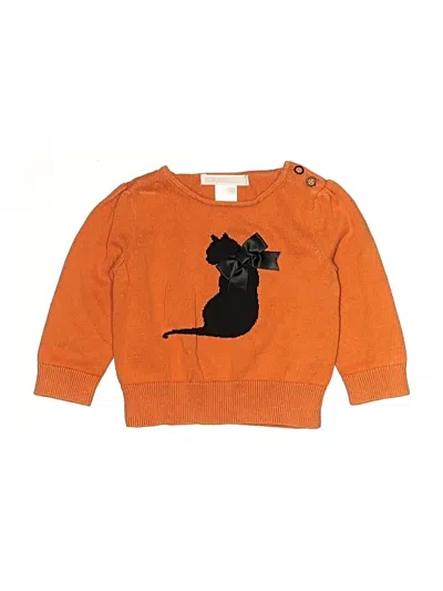Pre-owned Janie And Jack Babies' Pullover Sweater In Orange