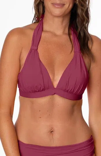 Jantzen Amy Halter Bikini Top In Purple
