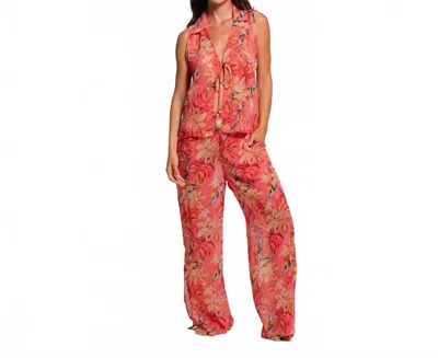 Jantzen Love In Bloom Beach Pant In Multi In Red