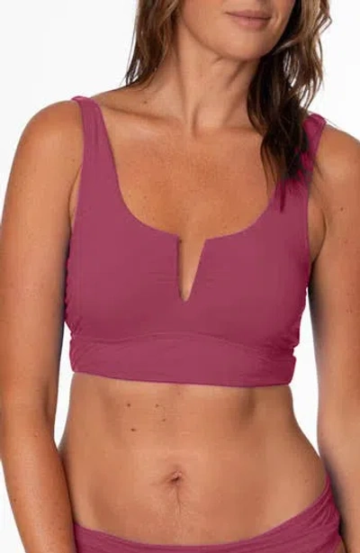 Jantzen Luisa Notch Neck Midkini Swim Top In Purple