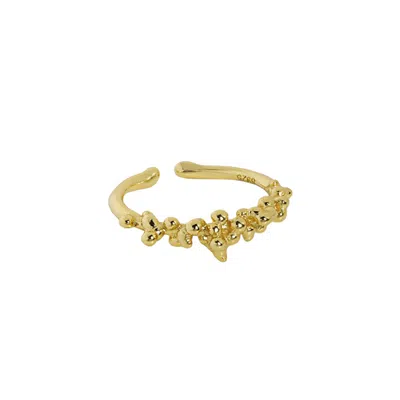 Janus Edinburgh Women's Ardmair Granulated Gold Vermeil Silver Ring