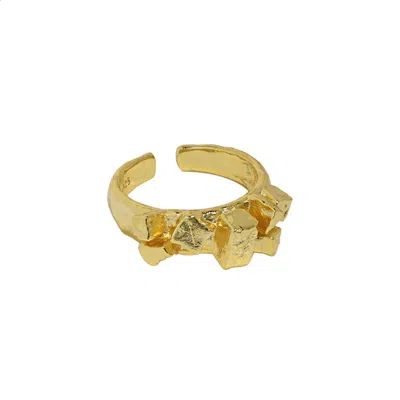 Janus Edinburgh Women's Ellora Gold Vermeil Silver Organic Cobble Ring