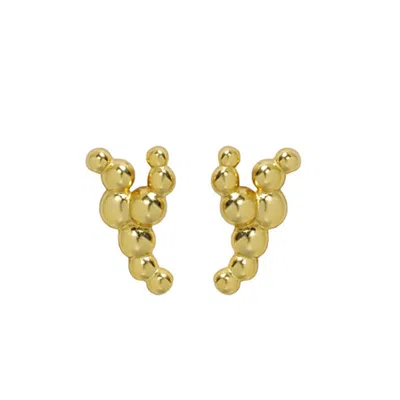 Janus Edinburgh Women's Fairy Glen Gold Vermeil Sterling Silver Earrings