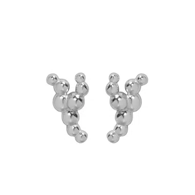 Janus Edinburgh Women's Fairy Glen Sterling Silver Earrings