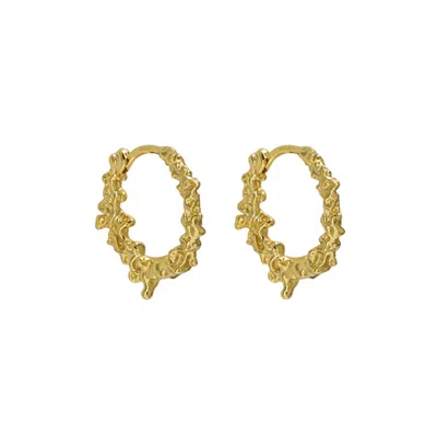 Janus Edinburgh Women's Foyers Organic Gold Vermeil Silver Huggie Earrings