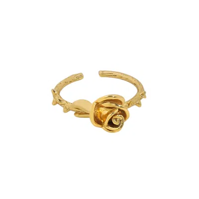 Janus Edinburgh Women's Perennial Rose Thorns Gold Vermeil Silver Ring