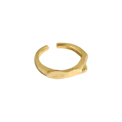 Janus Edinburgh Women's Pyla Gold Vermeil Silver Organic Ring