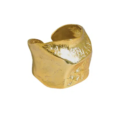 Janus Edinburgh Women's Sterling Silver Gold Vermeil Atlas Textured Organic Shaped Chunky Ring Adjustable