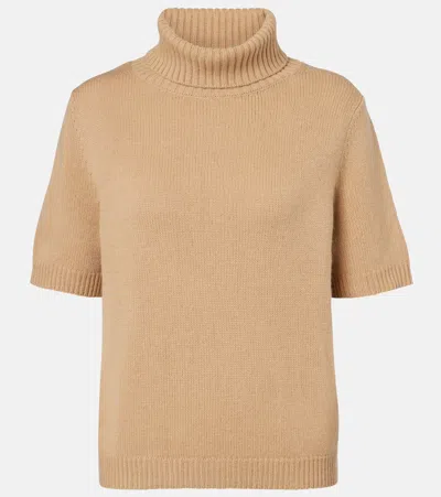 Jardin Des Orangers Turtleneck Wool And Cashmere Sweater In Brown