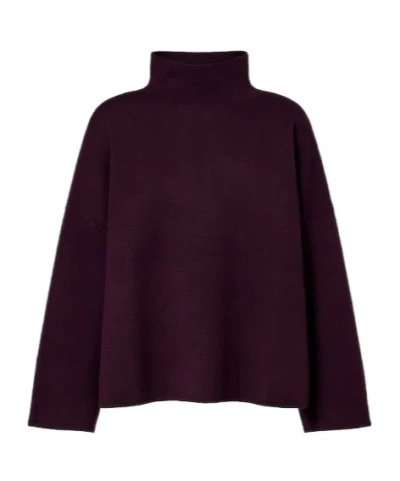 Jardin Des Orangers Virgin Wool And Cashmere High Neck Sweater In Burgundy