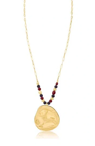 Jardin Large Medallion Pendant Necklace In Purple/gold