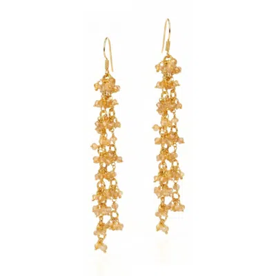 Jaredjamin Women's Gold Eloise Citrine Cluster Vine Dangle Earrings