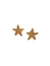 Jaredjamin Women's Gold Sea Star Stud Post Earrings In Gold