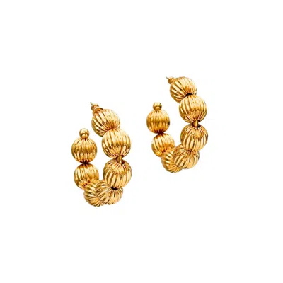 Jaredjamin Women's Small Gold Lantern Hoop Post Earrings