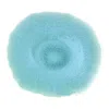 Jars Plume Dinner Plate In Blue