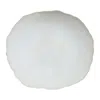 Jars Plume Presentation Plate In White