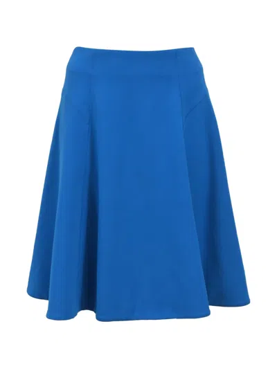 Pre-owned Jason Wu Circle Skirt In Blue