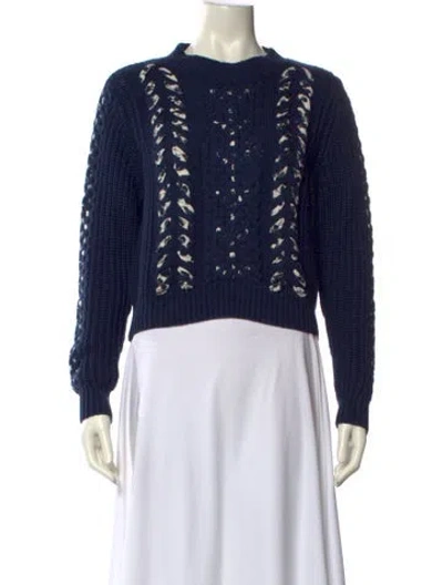 Pre-owned Jason Wu Crew Neck Sweater In Blue