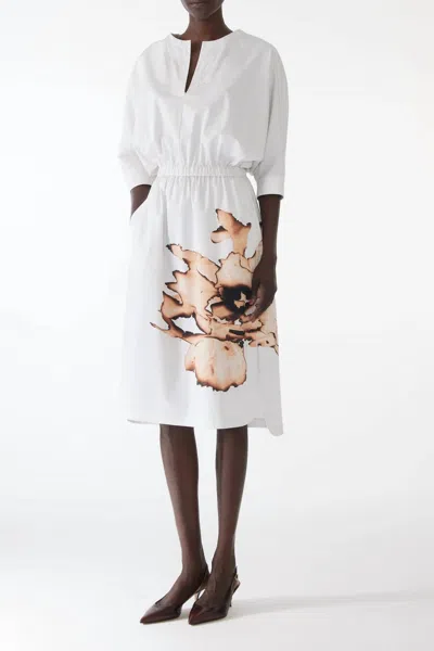 JASON WU DOLMAN SLEEVE COTTON DRESS IN CHALK/SAND