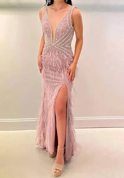 Jasz Couture Feather Detailed Sleeveless Prom Dress In Blush In Pink