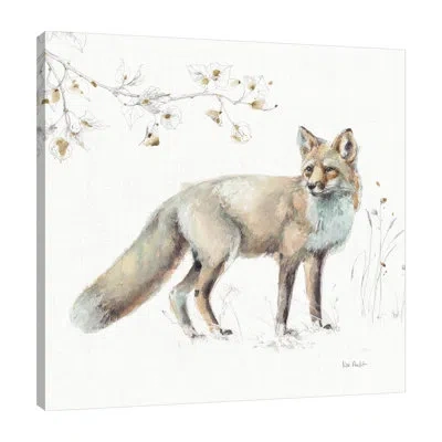Jaxson Rea "a Woodland Walk Xi" Gallery Wrapped Canvas By Lisa Audit