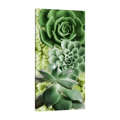 Jaxson Rea Adored Succulents 5 By Marcus Prime - Wrapped Canvas Print In Gray