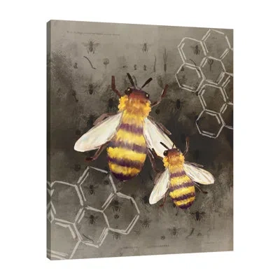 Jaxson Rea "bee Charmer 2" Gallery Wrapped Canvas By Kimberly Allen 15203 In Blue;white;gray;purple;charcoal Gray;lav