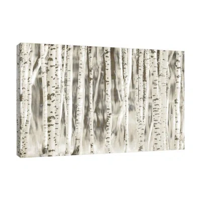 Jaxson Rea "birches" Gallery Wrapped Canvas By Kimberly Allen 15873