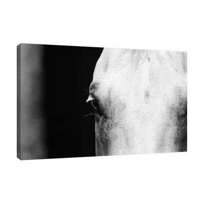Jaxson Rea Braided Mane B&w 2 By Suzanne Foschino - Wrapped Canvas Print In Blue;black;white;gray;red;charcoal Gray;
