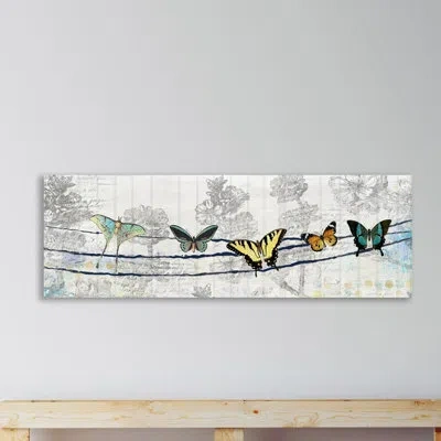 Jaxson Rea 'butterfly Day' By Kimberly Allen Graphic Art On Wrapped Canvas In Gray